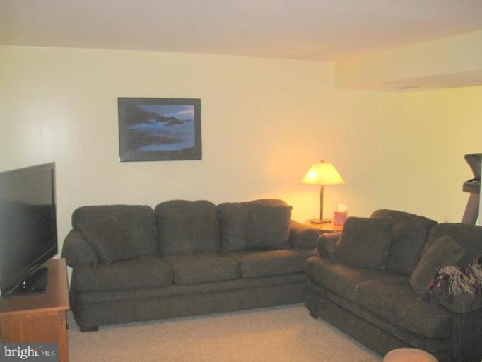 1119 Riva Ridge Drive Great Falls, VA 22066 - Photo 6 of 22 Recreation Room