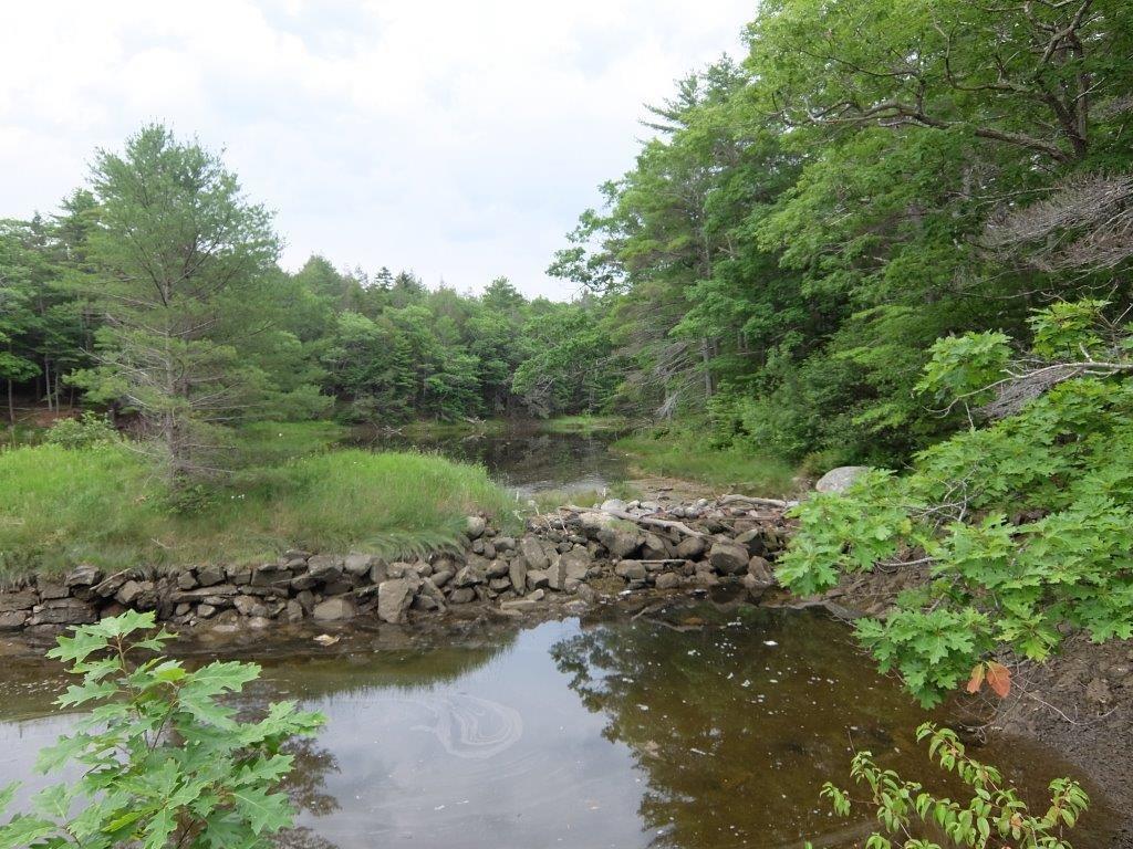 108 Shore Road Edgecomb, ME 04556 - Photo 10 of 35 Photo
