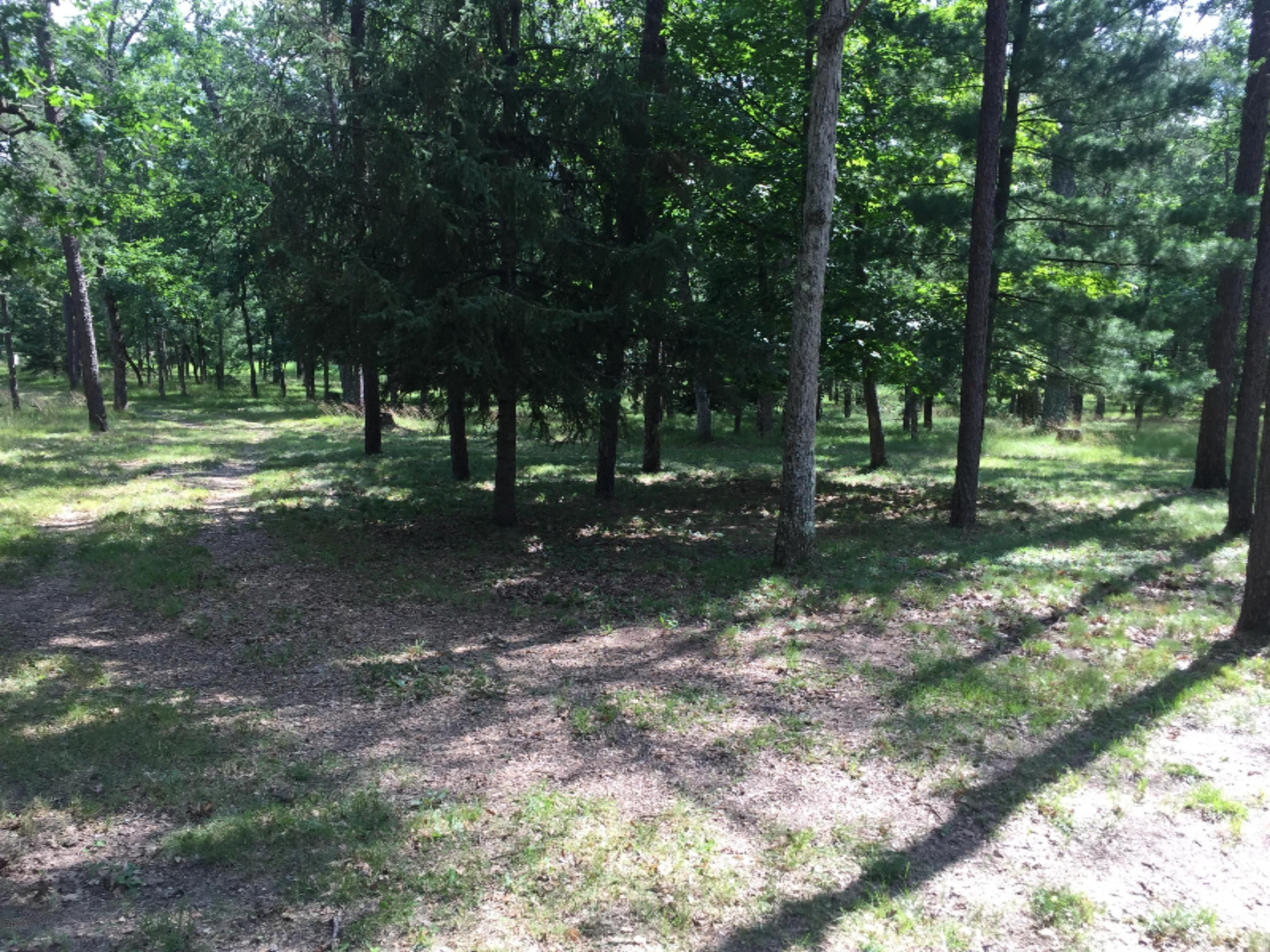 7390 West Wingleton Road Baldwin, MI 49304 - Photo 5 of 23 IMG_2233