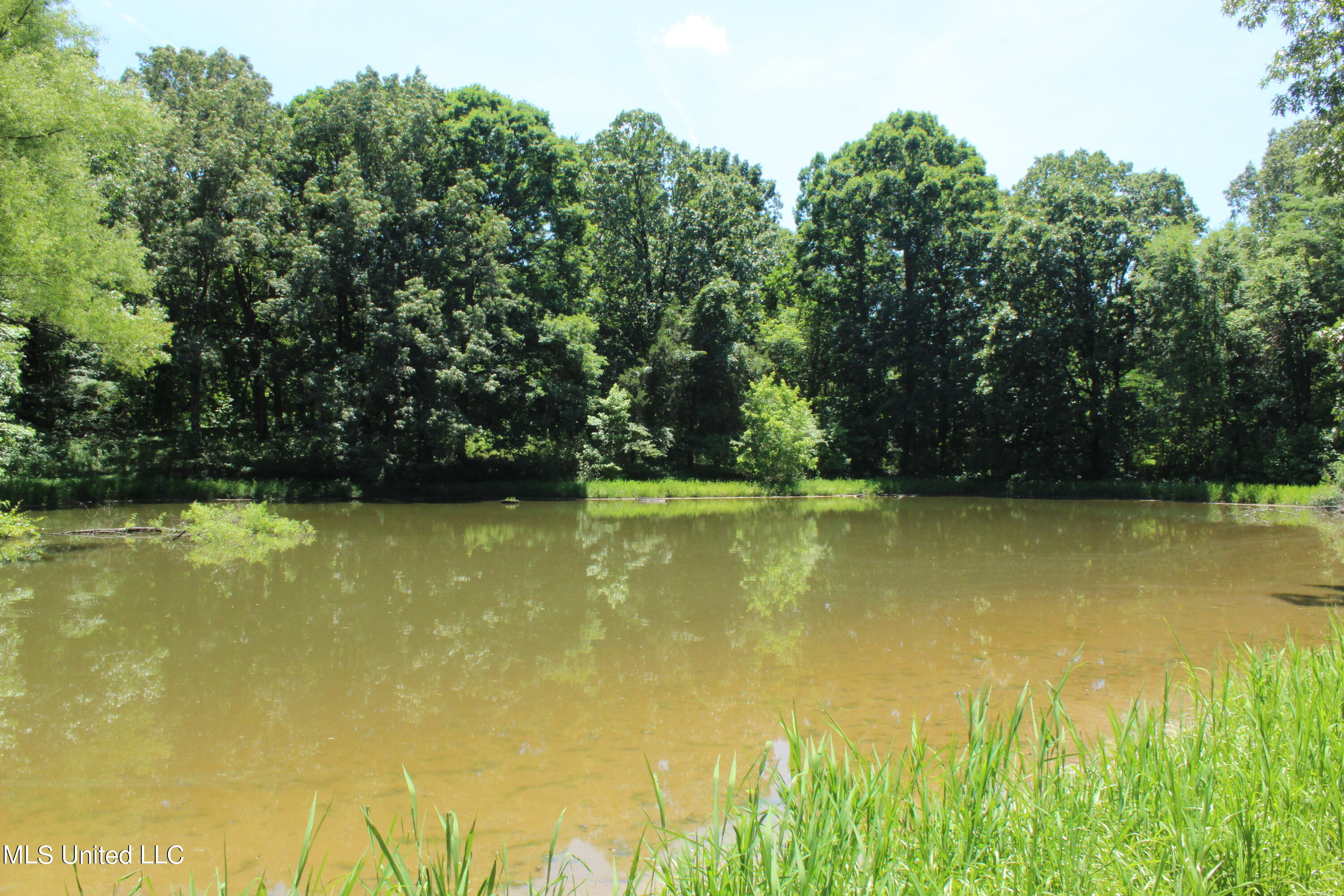 2764 Tulane Road Nesbit, MS 38651 - Photo 1 of 5 3 ACRES Nesbit,MS 38651