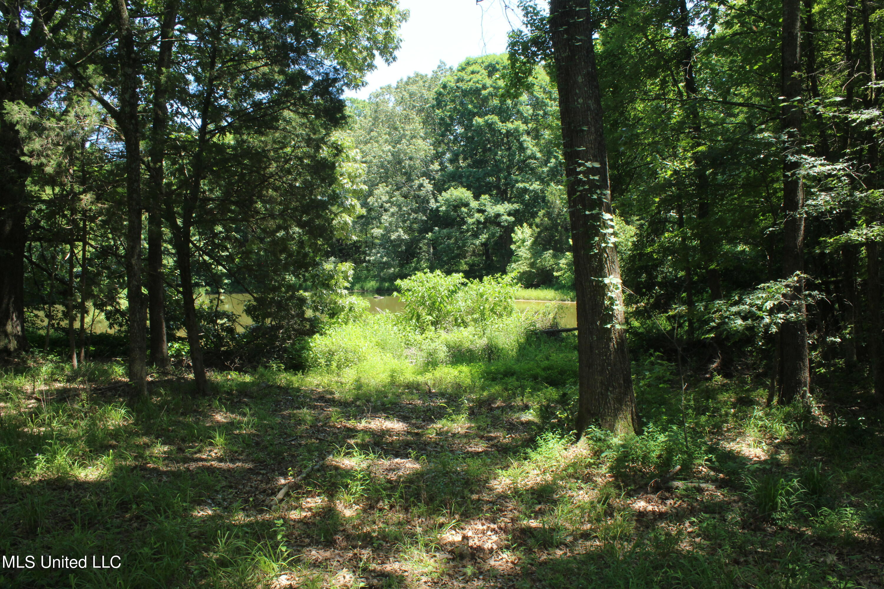 2764 Tulane Road Nesbit, MS 38651 - Photo 4 of 5 IMG_0550