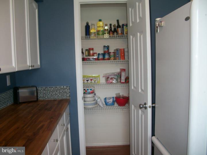 5477 Rinker Circle, Unit 303 Doylestown, PA 18902 - Photo 11 of 25 Pantry