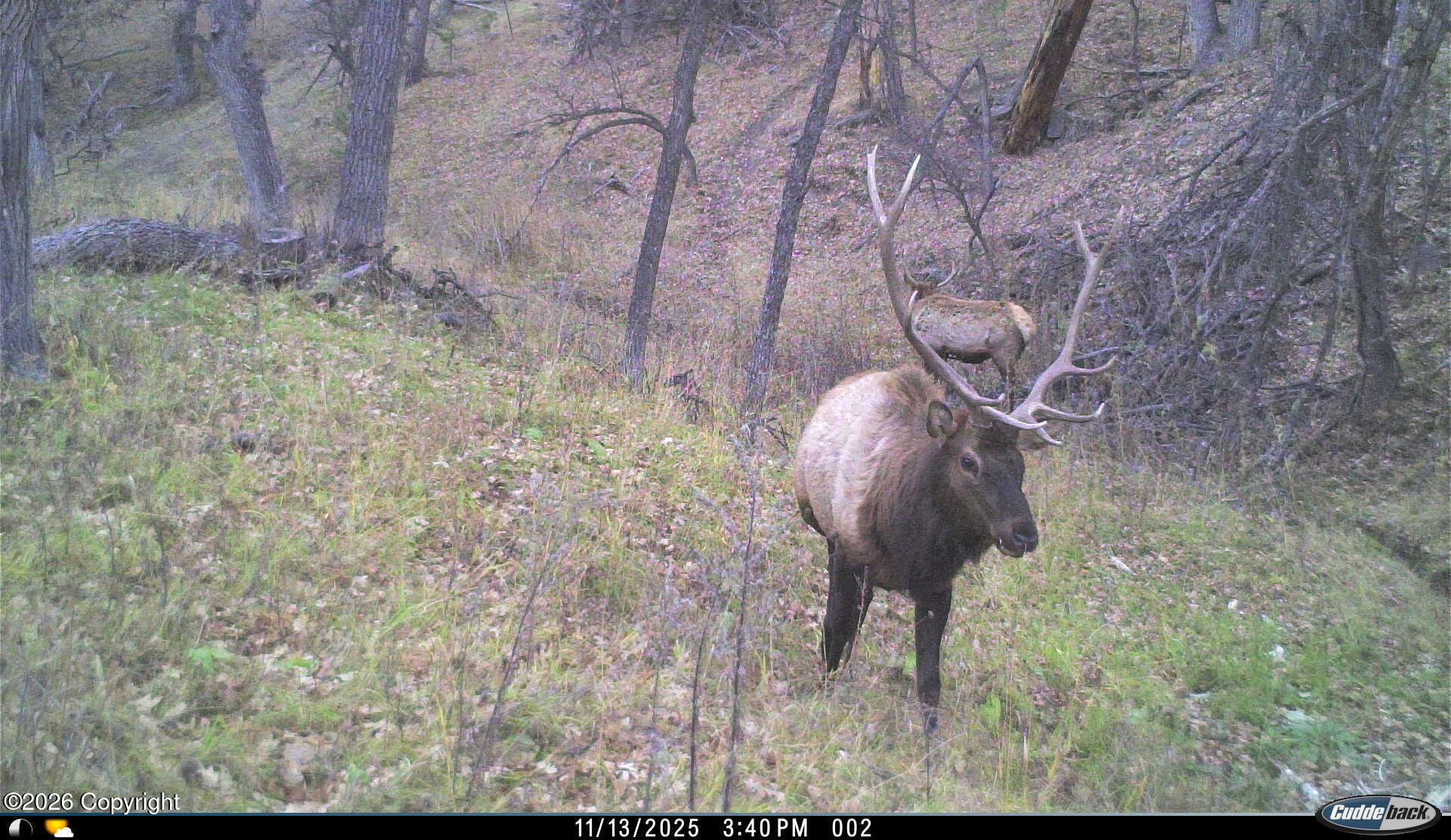 567 Dry Creek Road Upton, WY 82730 - Photo 18 of 22 Gallery Image 18