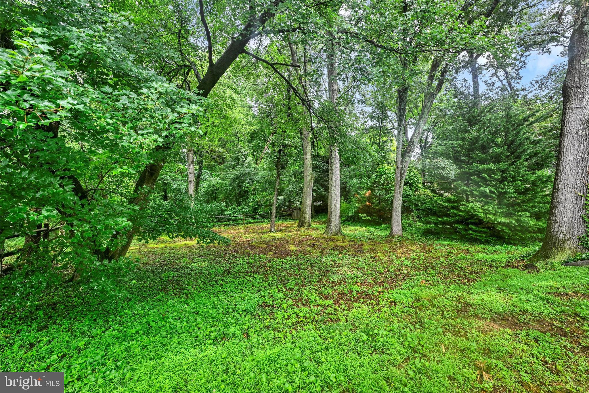 26 Severndale Road Severna Park, MD 21146 - Photo 24 of 35 View of the yard from the porch