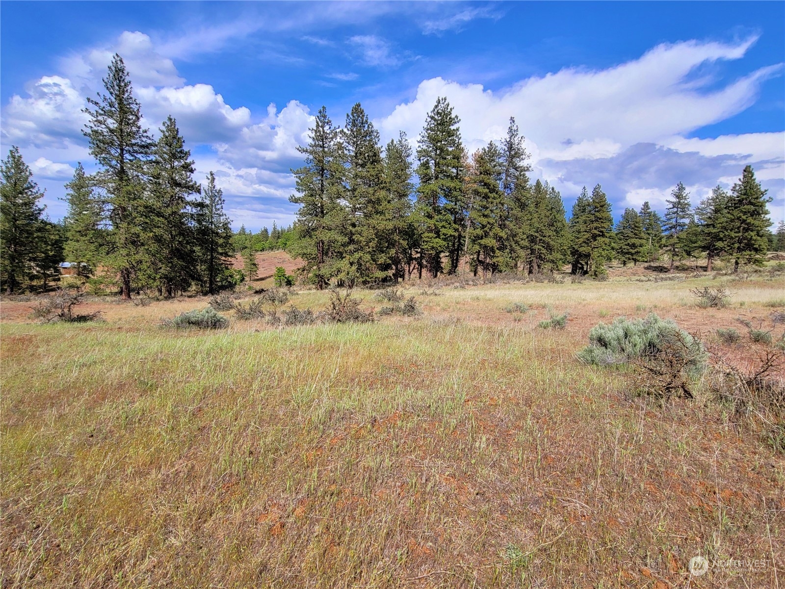 598 Chambers Road Goldendale, WA 98620 - Photo 1 of 16 Gallery Image 1