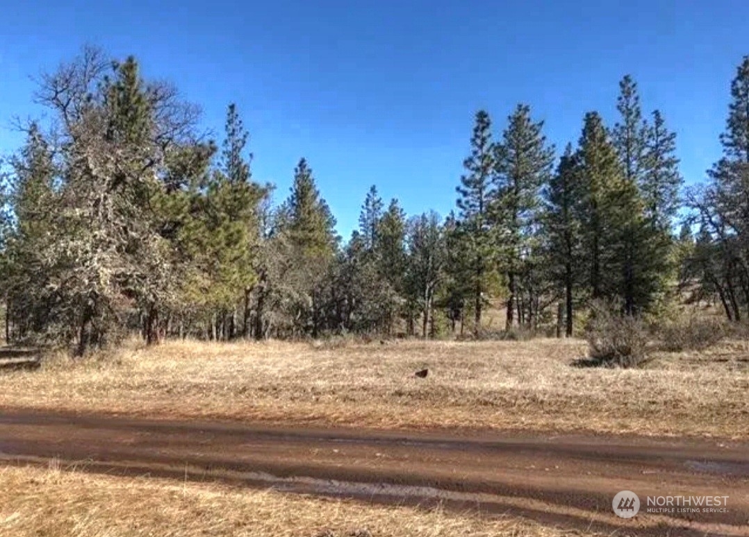 598 Chambers Road Goldendale, WA 98620 - Photo 11 of 16 Gallery Image 11