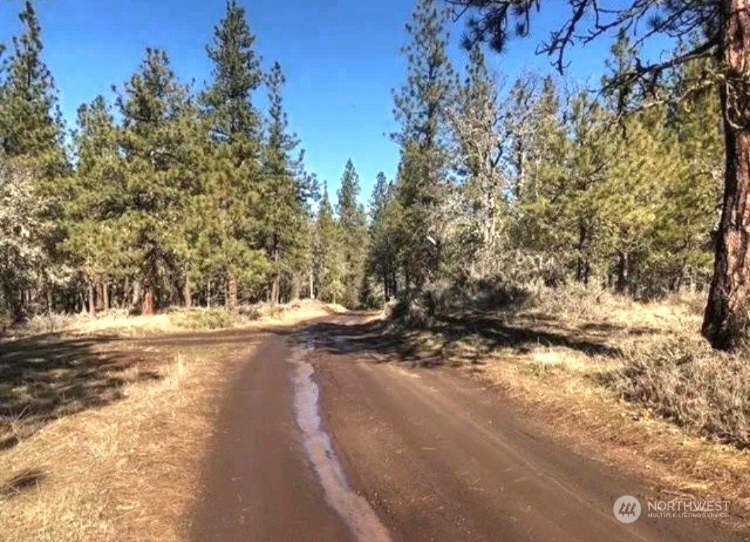 598 Chambers Road Goldendale, WA 98620 - Photo 12 of 16 Gallery Image 12