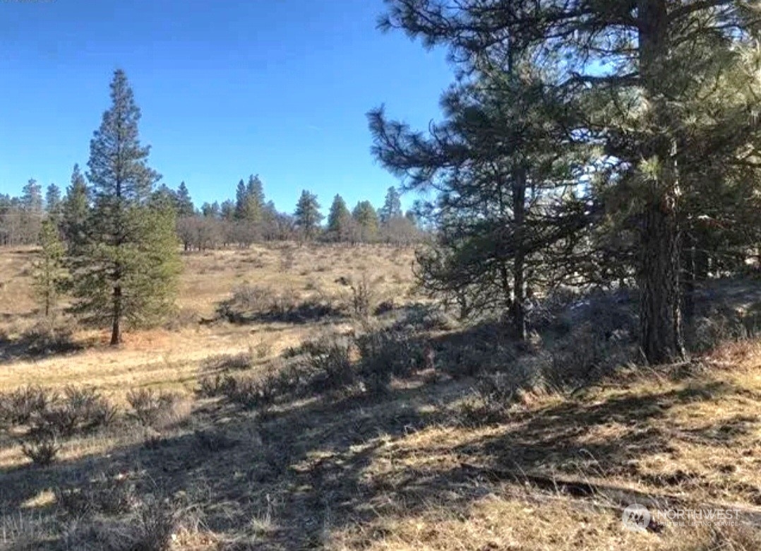 598 Chambers Road Goldendale, WA 98620 - Photo 13 of 16 Gallery Image 13