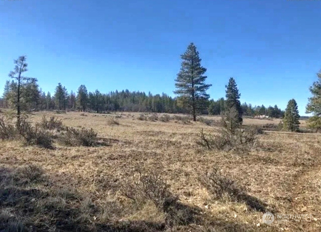 598 Chambers Road Goldendale, WA 98620 - Photo 14 of 16 Gallery Image 14
