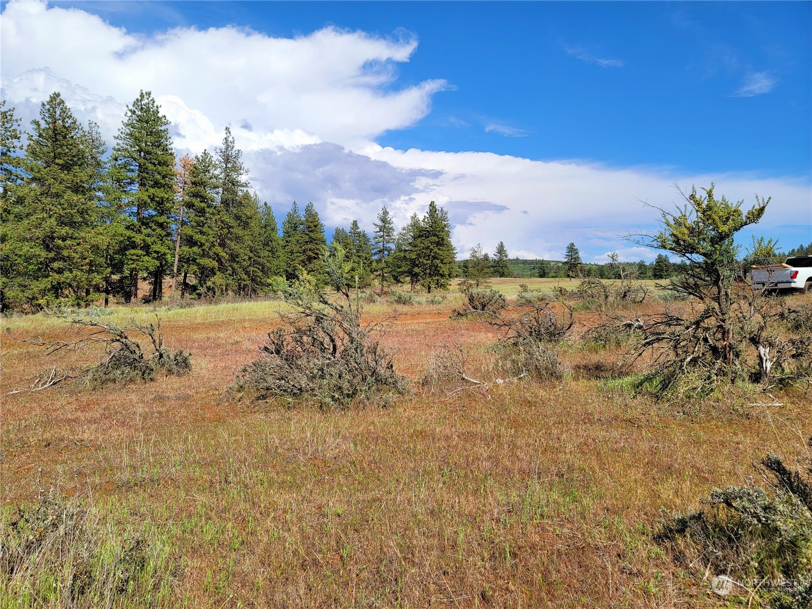 598 Chambers Road Goldendale, WA 98620 - Photo 2 of 16 Gallery Image 2