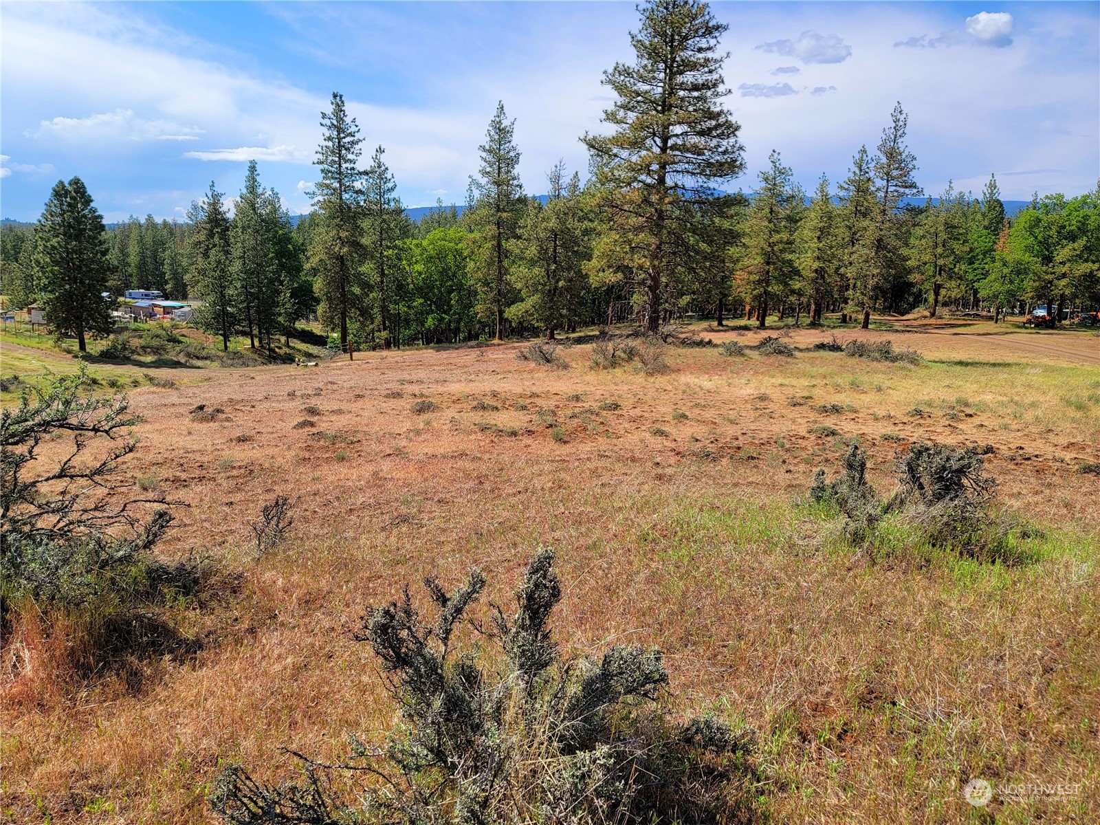 598 Chambers Road Goldendale, WA 98620 - Photo 3 of 16 Gallery Image 3