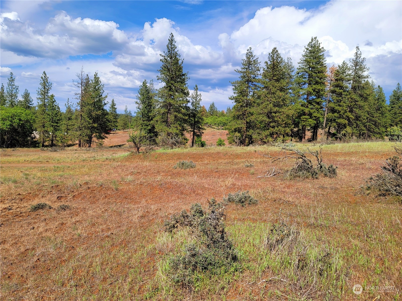598 Chambers Road Goldendale, WA 98620 - Photo 4 of 16 Gallery Image 4