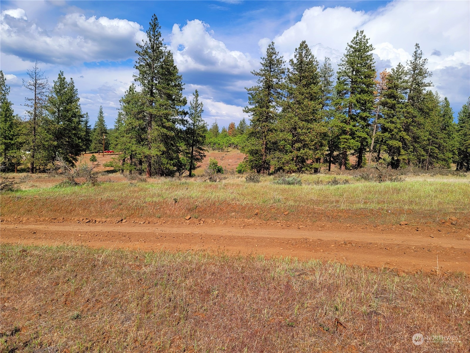 598 Chambers Road Goldendale, WA 98620 - Photo 5 of 16 Gallery Image 5