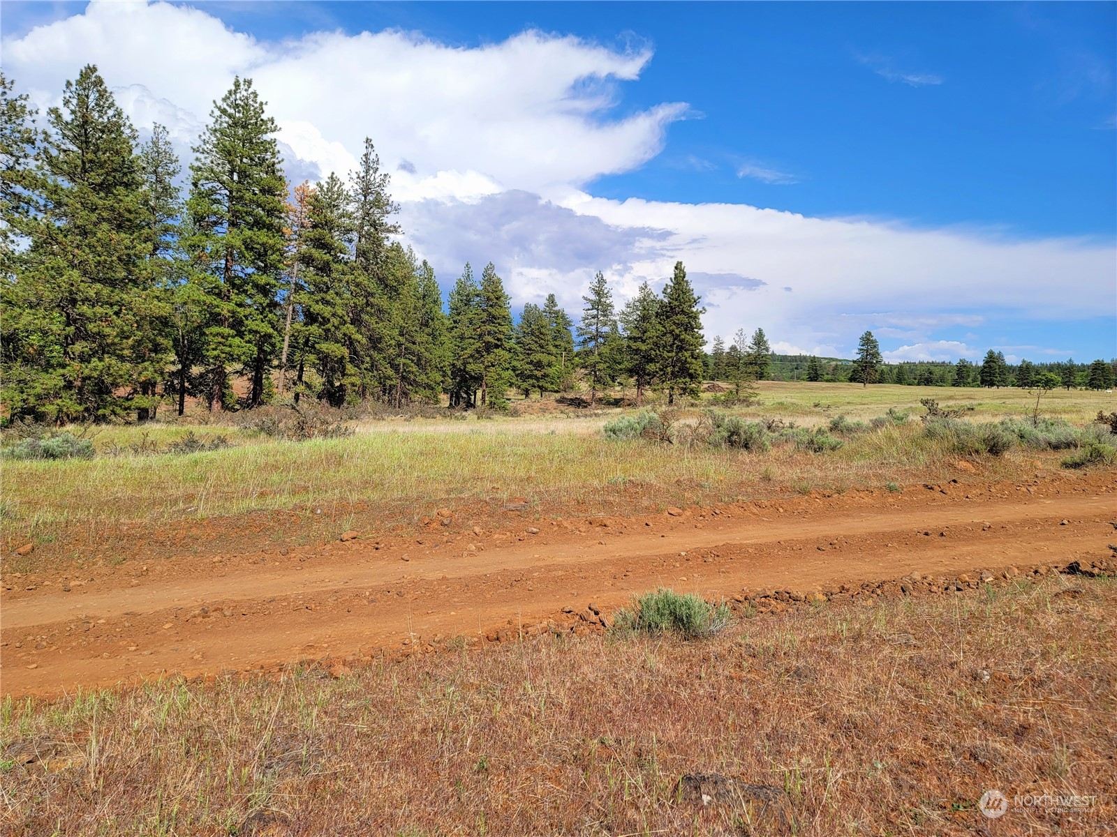 598 Chambers Road Goldendale, WA 98620 - Photo 7 of 16 Gallery Image 7
