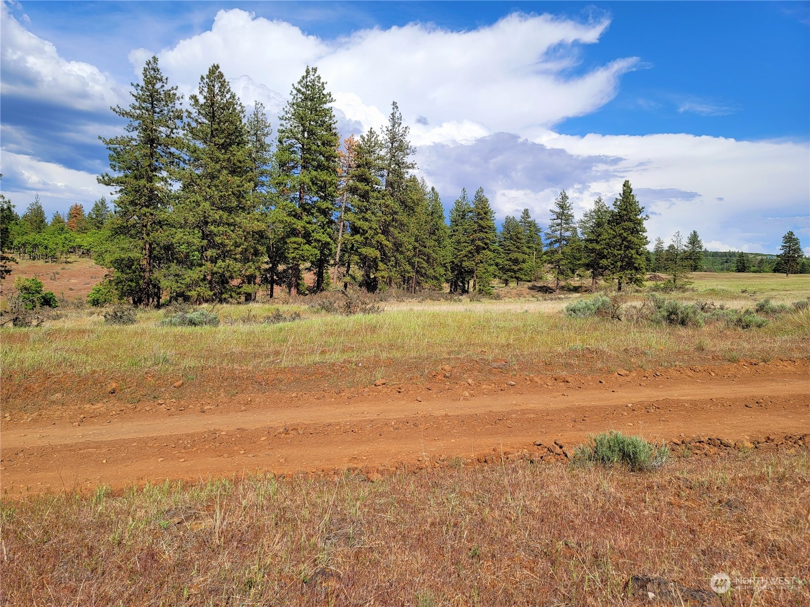 598 Chambers Road Goldendale, WA 98620 - Photo 8 of 16 Gallery Image 8