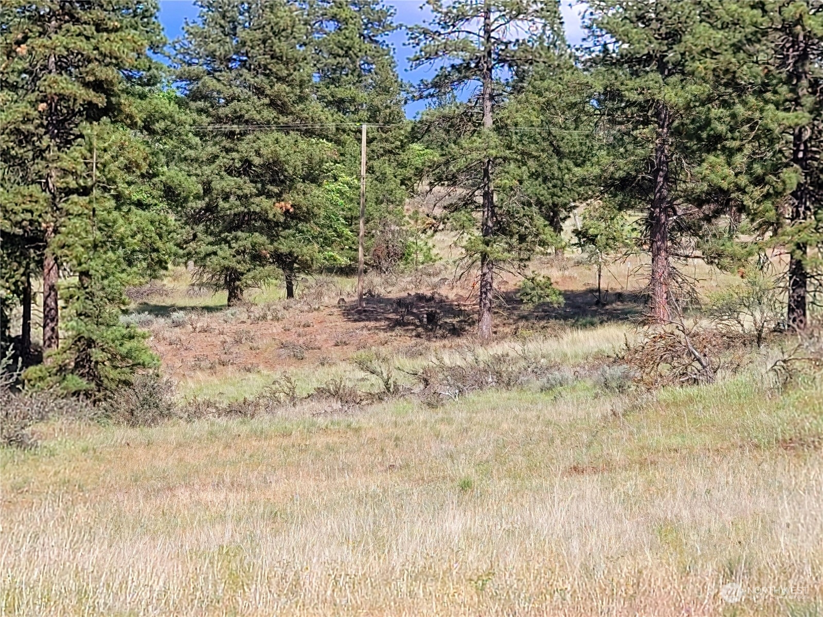 598 Chambers Road Goldendale, WA 98620 - Photo 9 of 16 Gallery Image 9