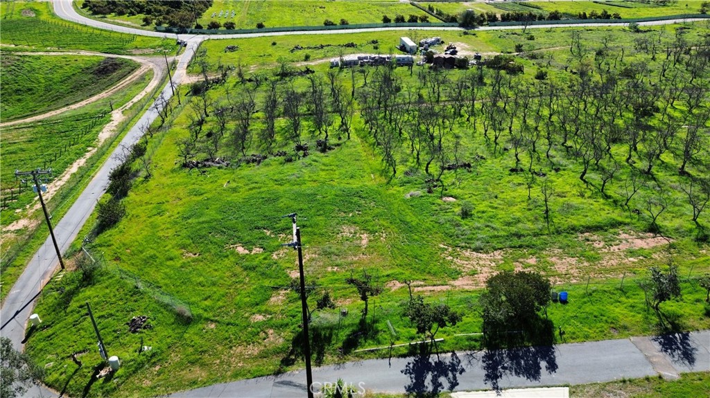 15736 Highland Valley Road Escondido, CA 92025 - Photo 12 of 12 a view of a yard with plants