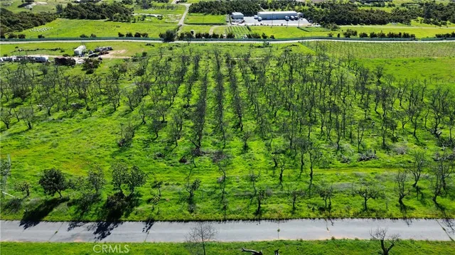 a view of a green field