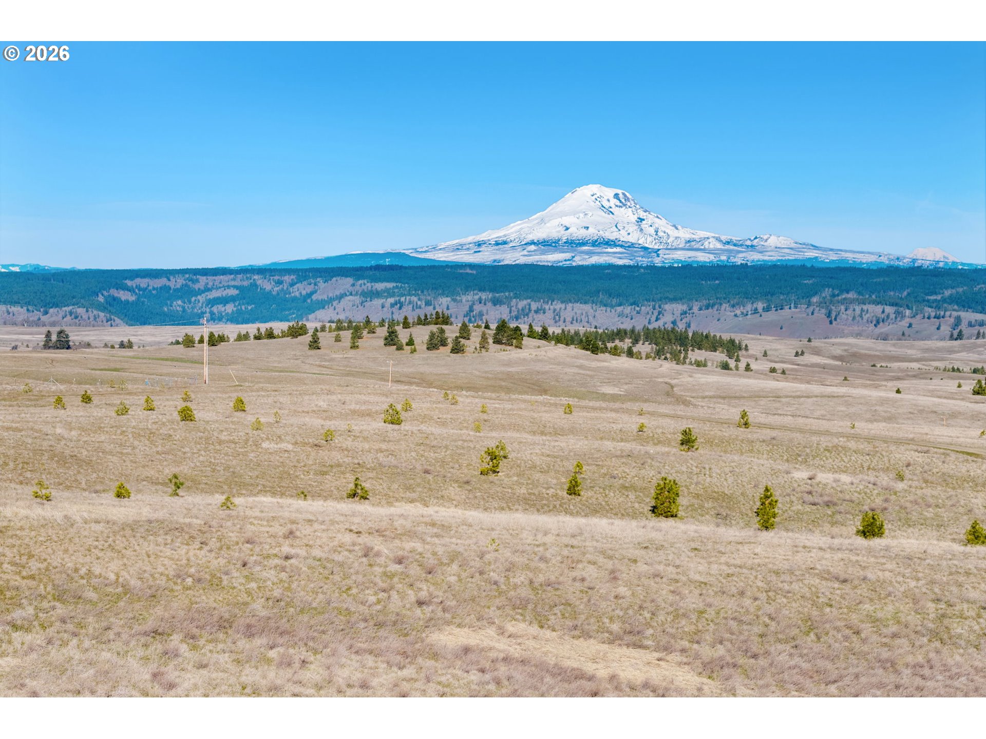 Schilling Road Lyle, WA 98635 - Photo 17 of 19