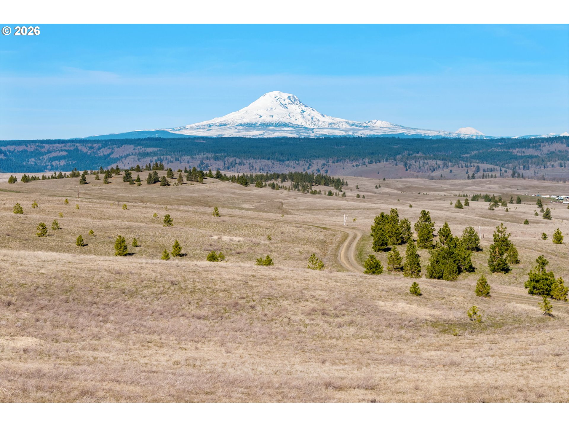 Schilling Road Lyle, WA 98635 - Photo 4 of 19
