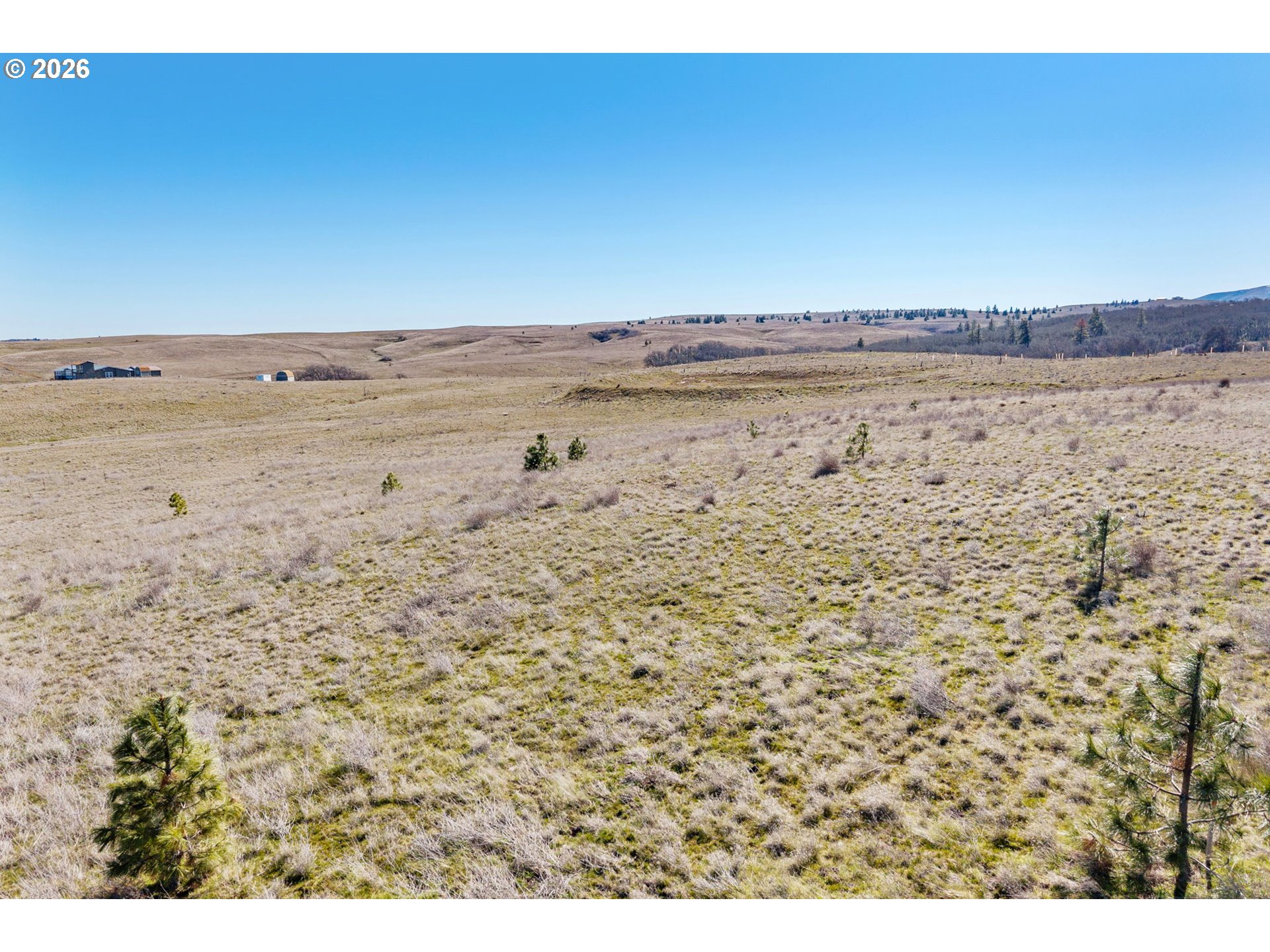 Schilling Road Lyle, WA 98635 - Photo 8 of 19