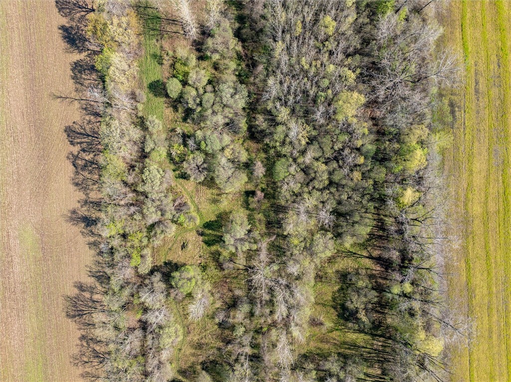 16126 Telegraph Road Murray, NY 14470 - Photo 8 of 50