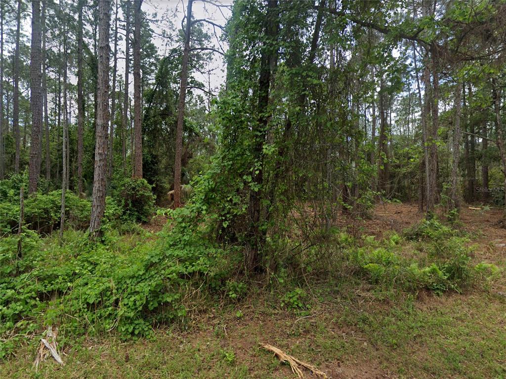 218 1st Street Georgetown, FL 32139 - Photo 3 of 15