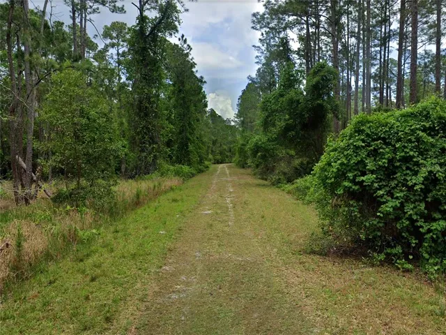 $10,000 | 218 1st Street, Georgetown, FL 32139