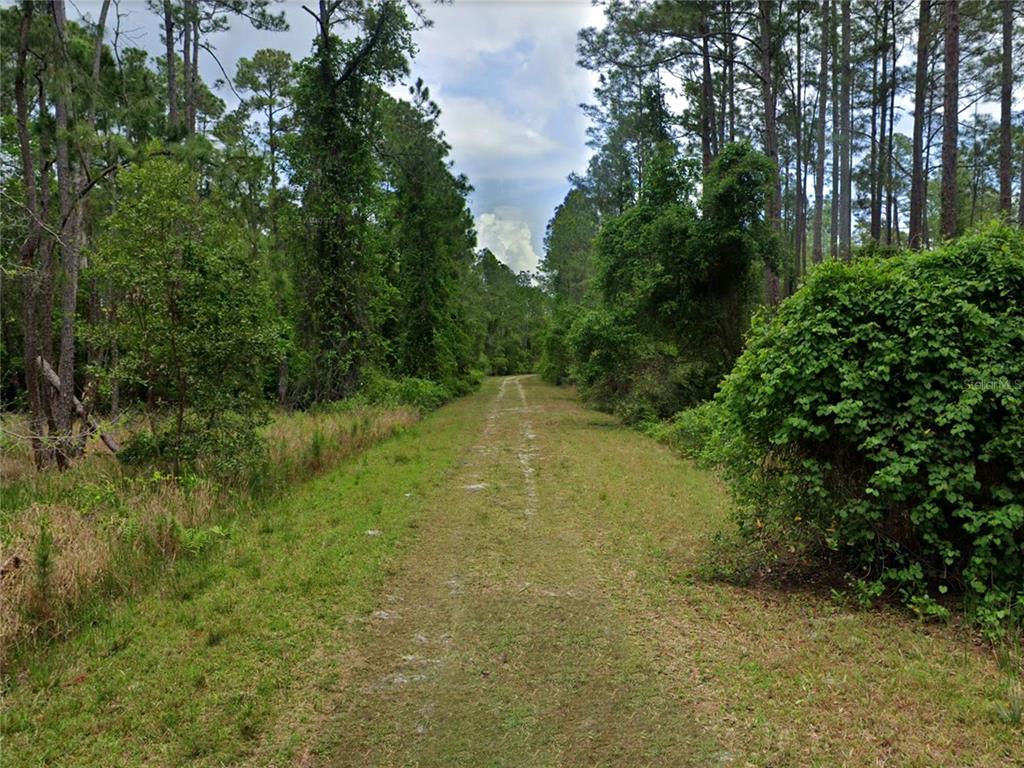 218 1st Street Georgetown, FL 32139 - Photo 6 of 15