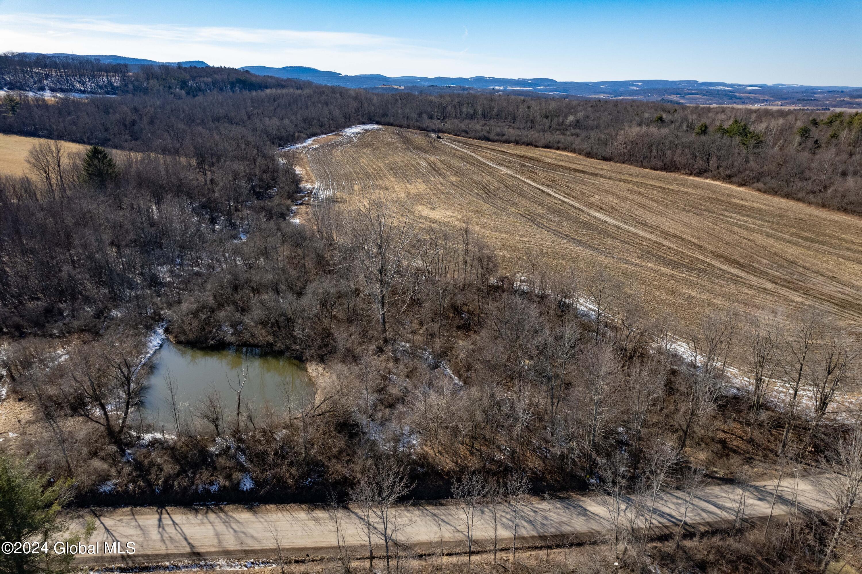 L31 Macphail Road Canajoharie, NY 13317 - Photo 3 of 17 4-292 McPhail Rd