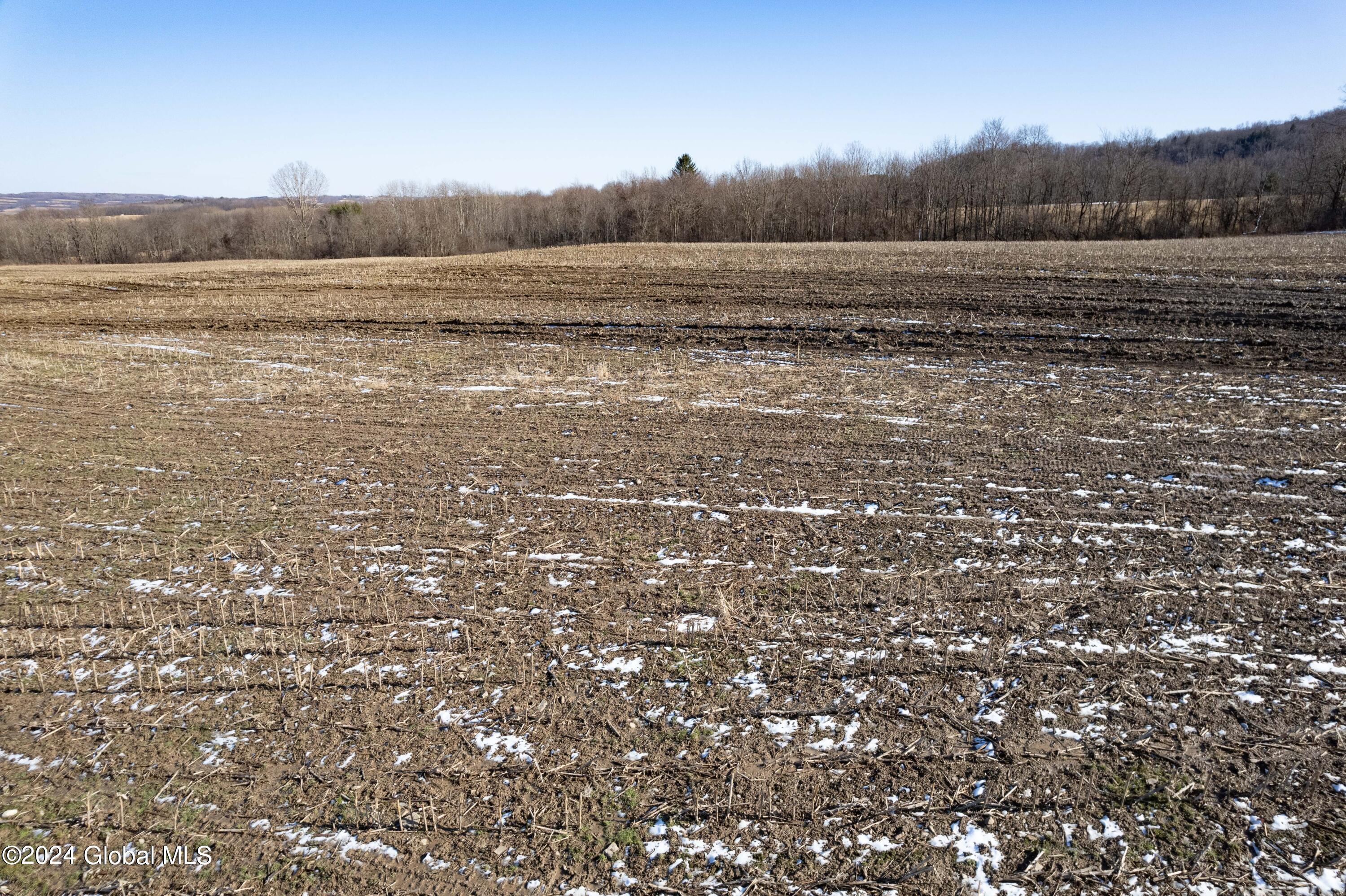 L31 Macphail Road Canajoharie, NY 13317 - Photo 4 of 17 24-292 McPhail Rd