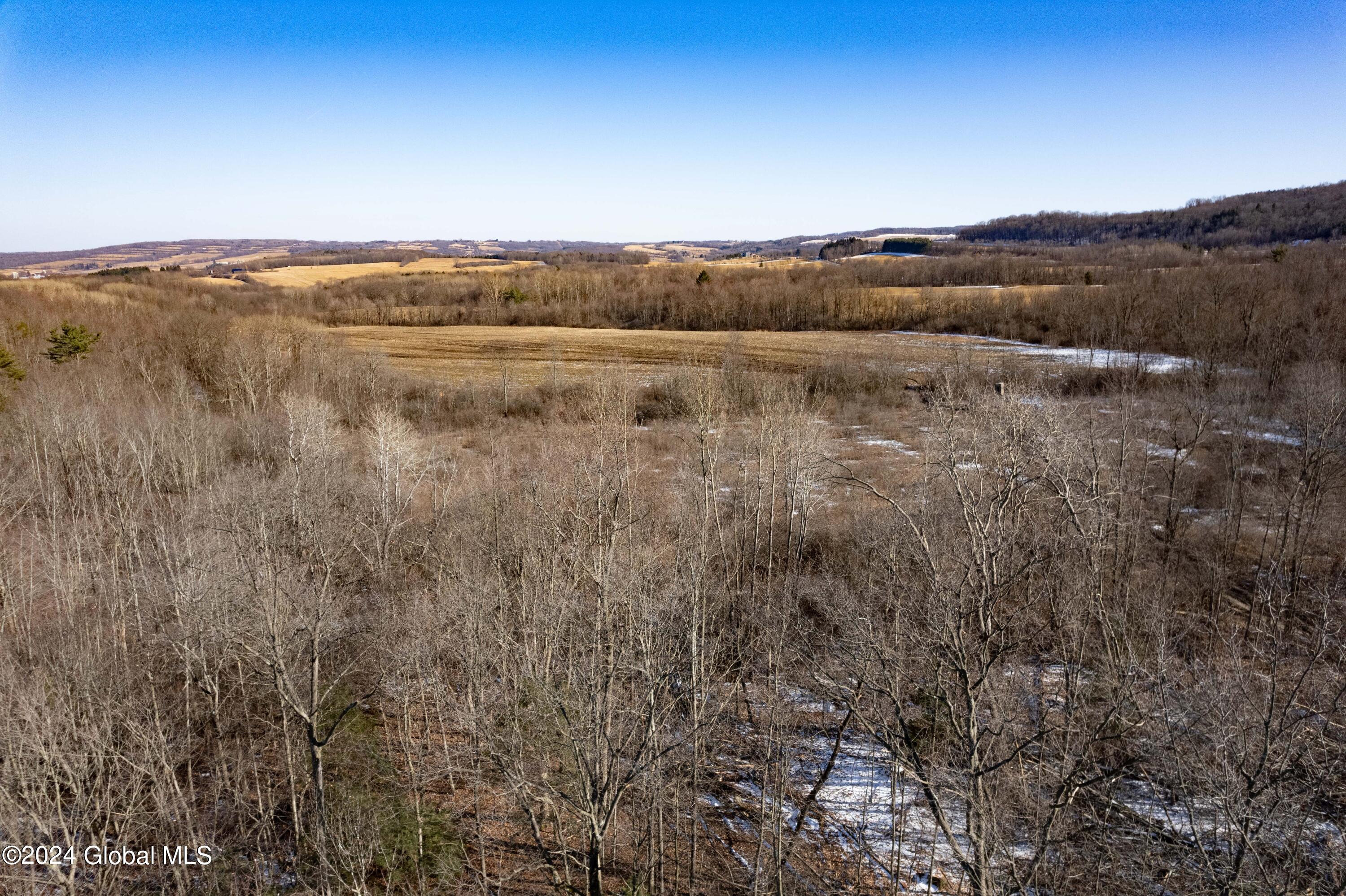 L31 Macphail Road Canajoharie, NY 13317 - Photo 8 of 17 21-292 McPhail Rd