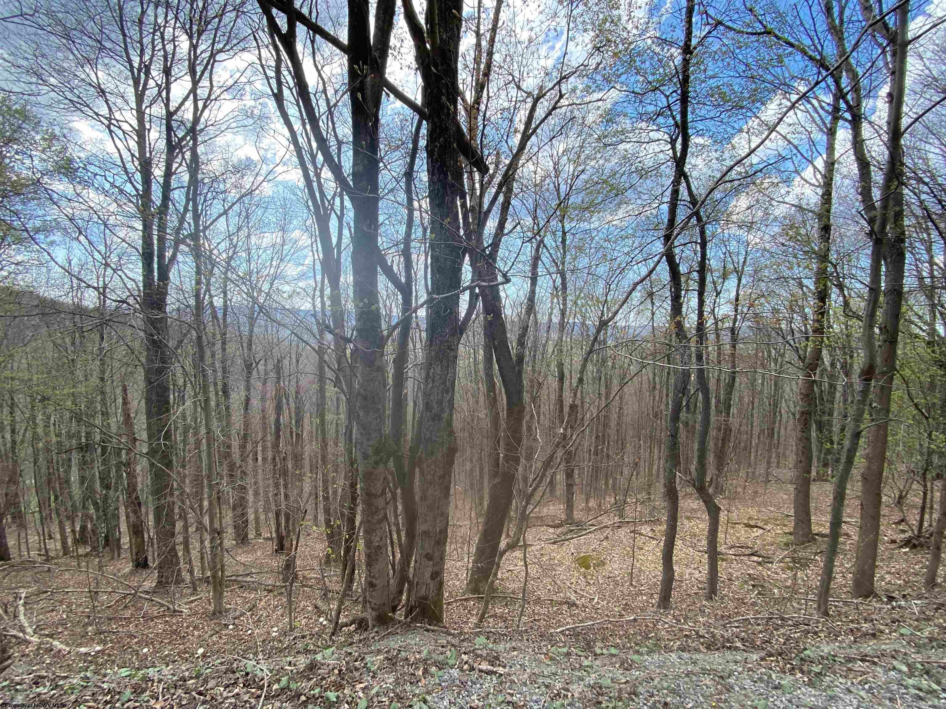 31 Mountainside Road Davis, WV 26260 - Photo 9 of 16 Gallery Image 9