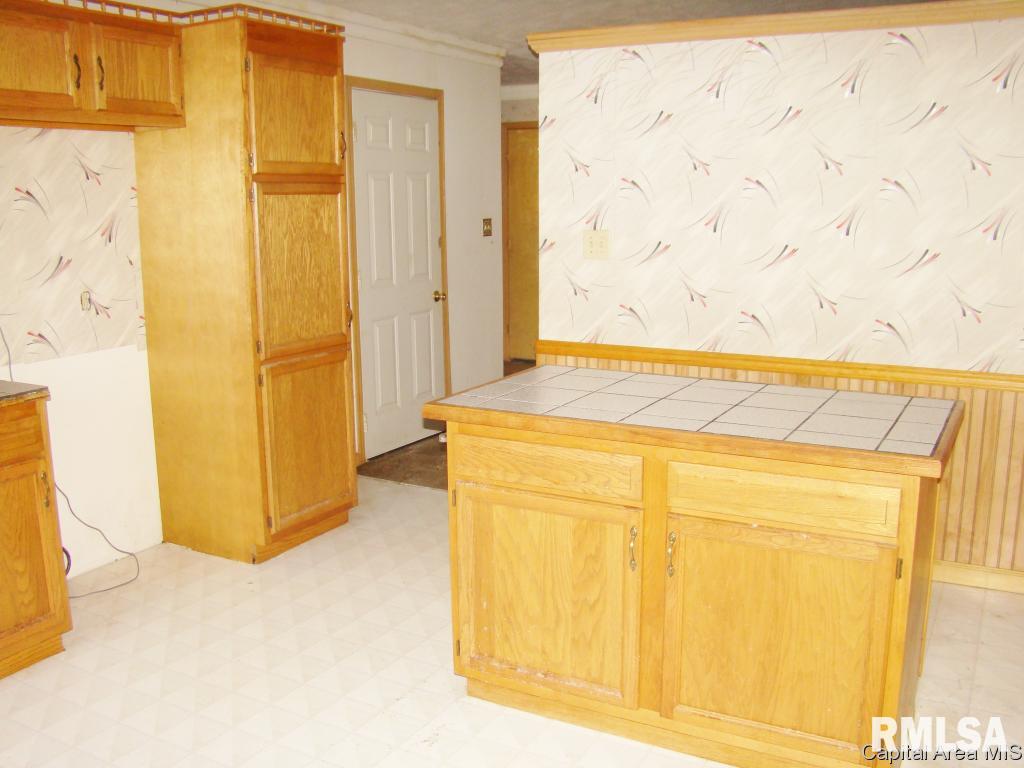 1305 East Monroe Street Springfield, IL 62703 - Photo 7 of 20