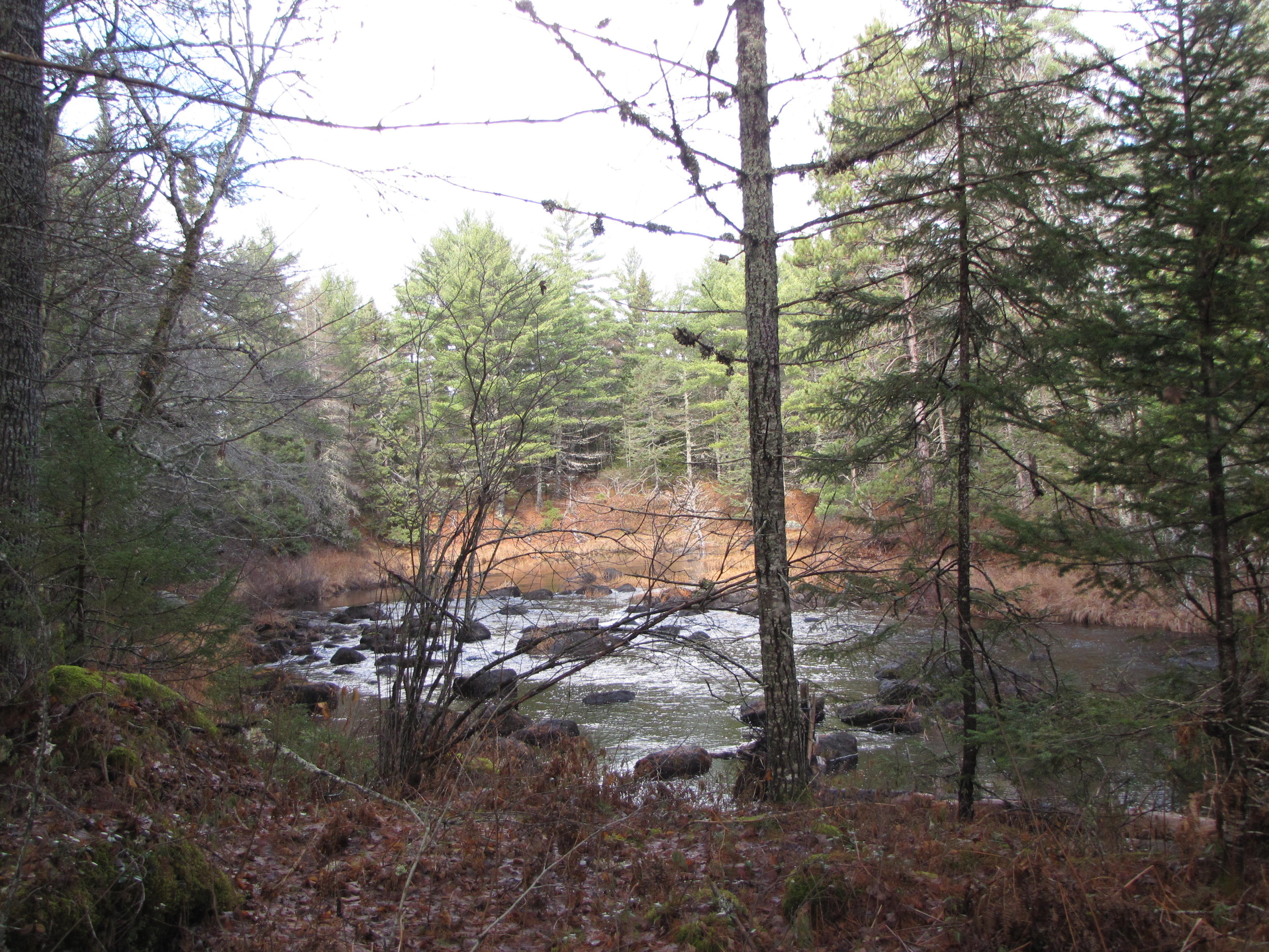 X X Off Ccc Road Machias, ME 04654 - Photo 11 of 57 IMG_1611