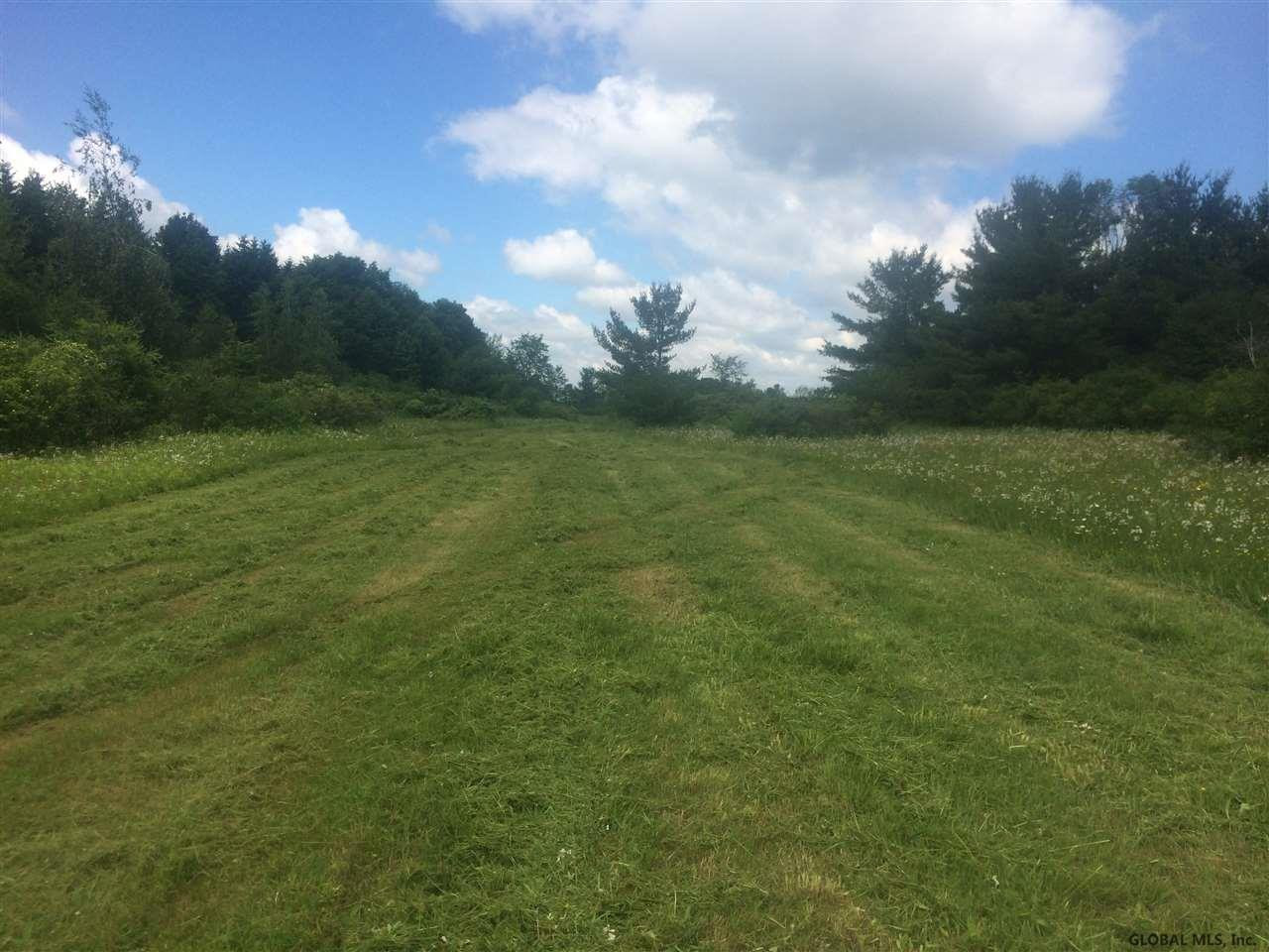 0 Green Road Fultonville, NY 12072 - Photo 11 of 12 Photo 11