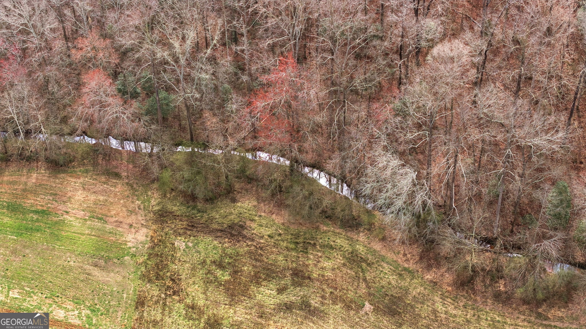 1429 Crumps Bridge Road Martin, GA 30557 - Photo 5 of 54