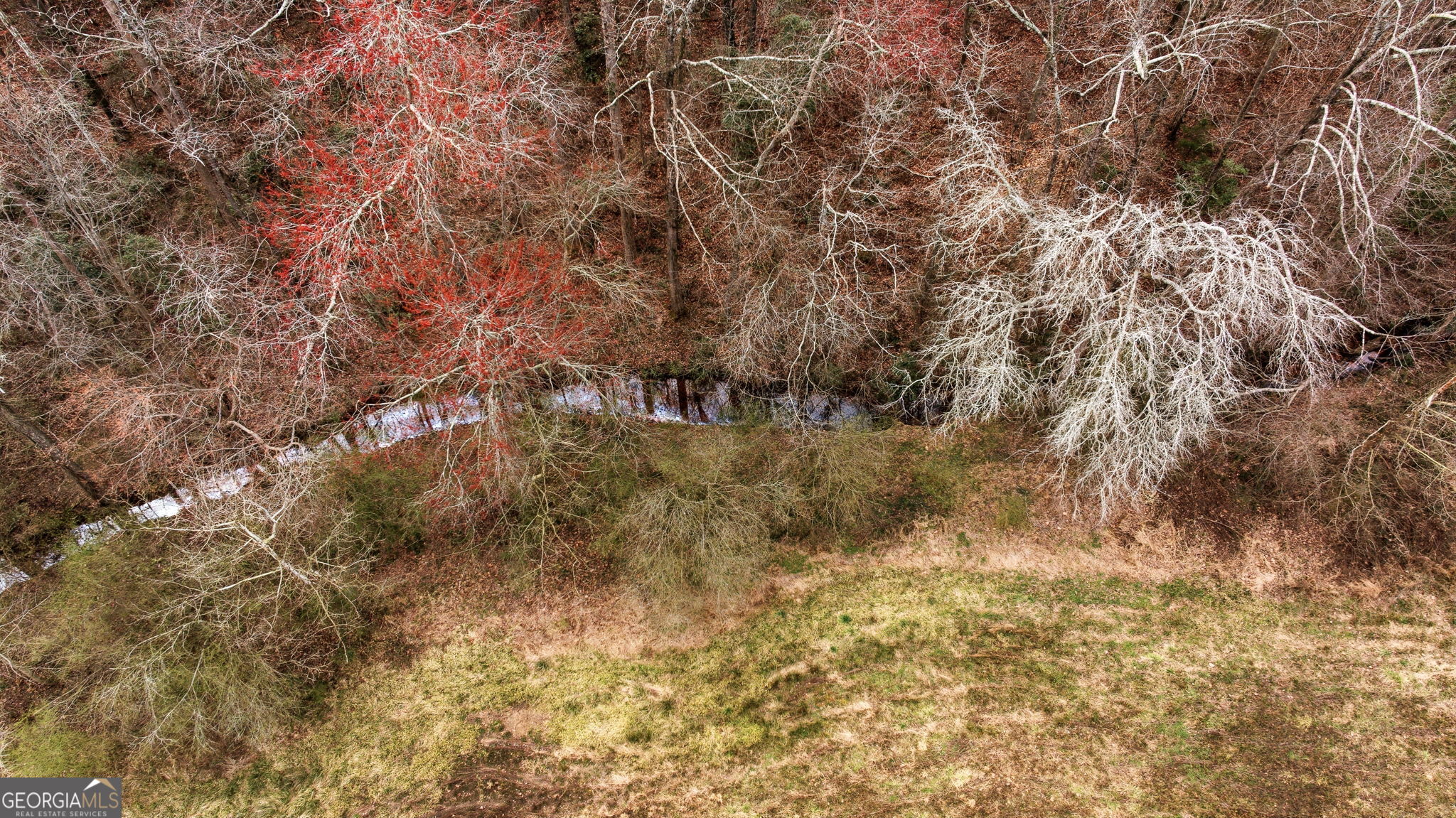 1429 Crumps Bridge Road Martin, GA 30557 - Photo 51 of 54 a view of a tree with some trees