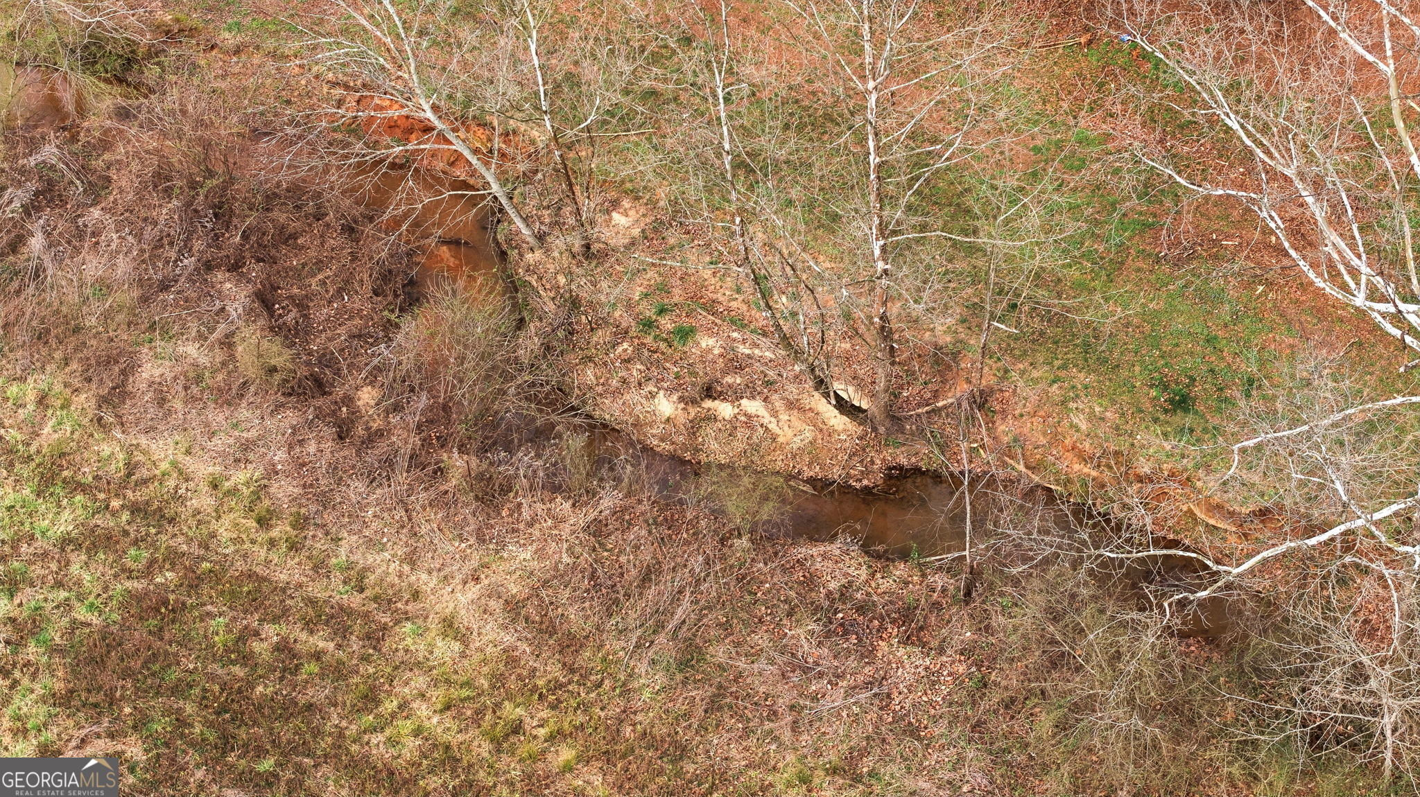 1429 Crumps Bridge Road Martin, GA 30557 - Photo 52 of 54 a view of a yard