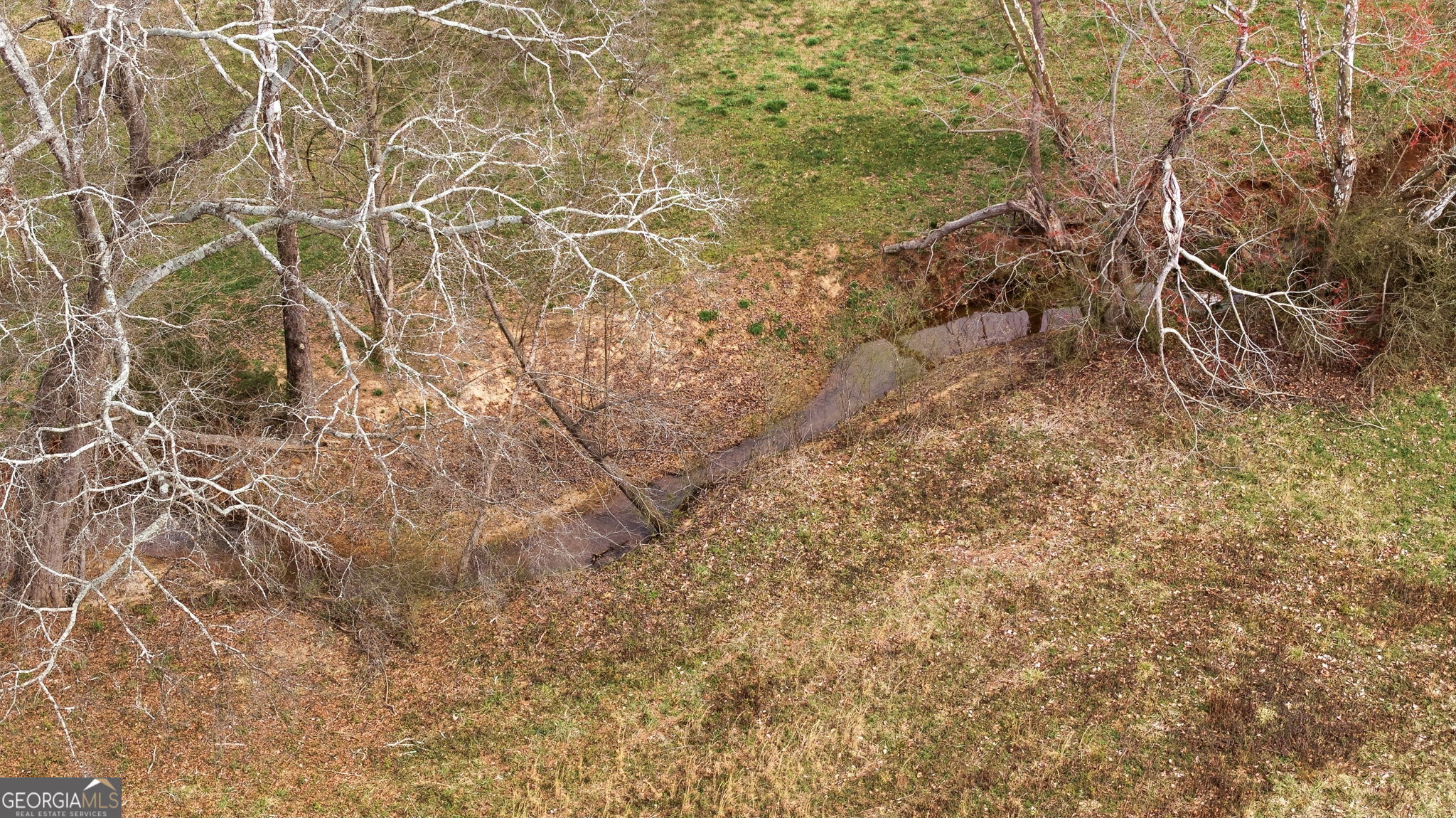 1429 Crumps Bridge Road Martin, GA 30557 - Photo 53 of 54 a view of a yard