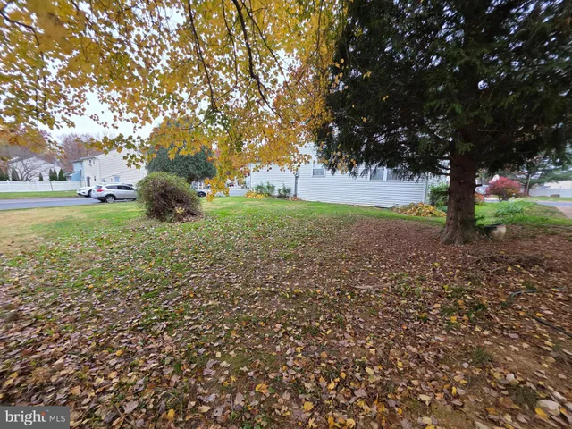 a view of backyard with tree
