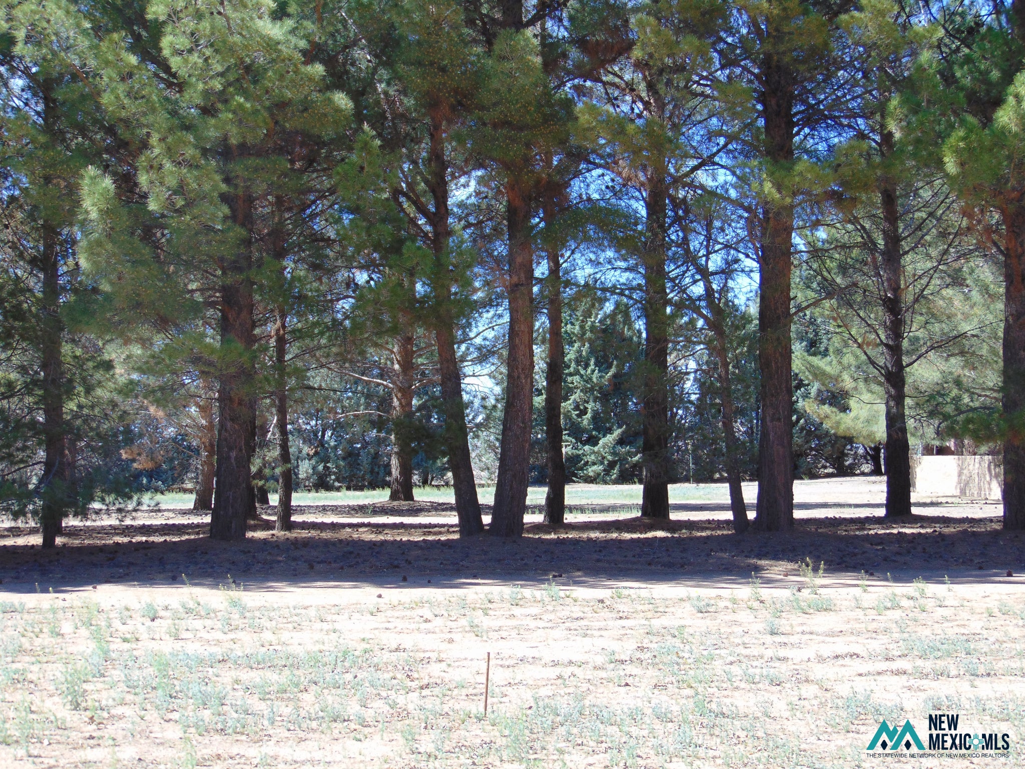 6560 Ventura Road Southeast Deming, NM 88030 - Photo 45 of 50 Gallery Image 45
