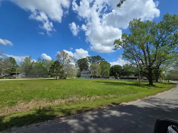 a view of a grassy field with trees