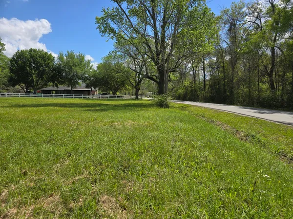 a view of a green yard