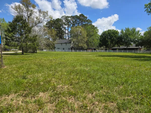 a view of a grassy field with trees