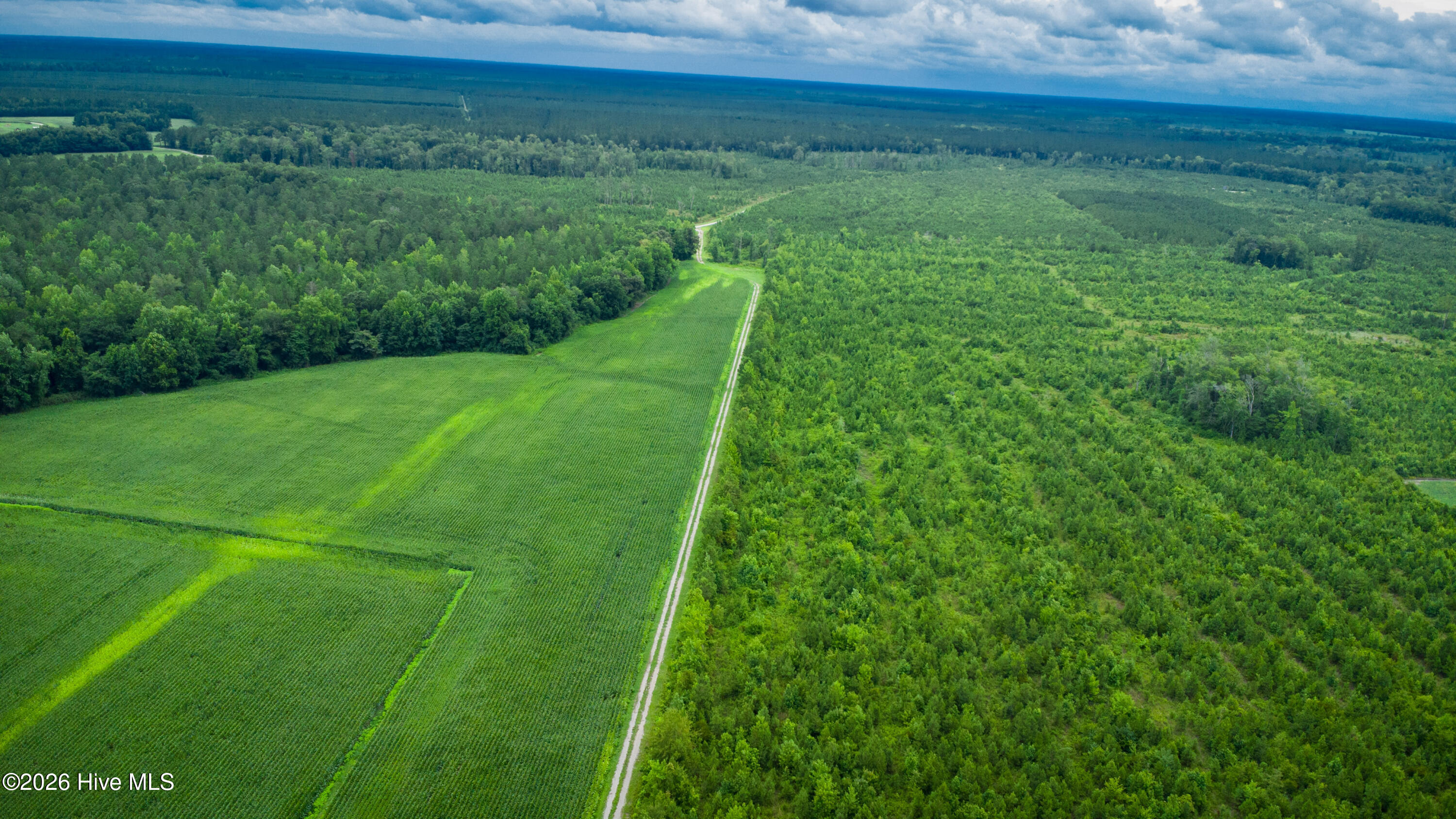 1601 Hill Neck Road Ernul, NC 28527 - Photo 25 of 33 Over 230 Acres of Opportunity