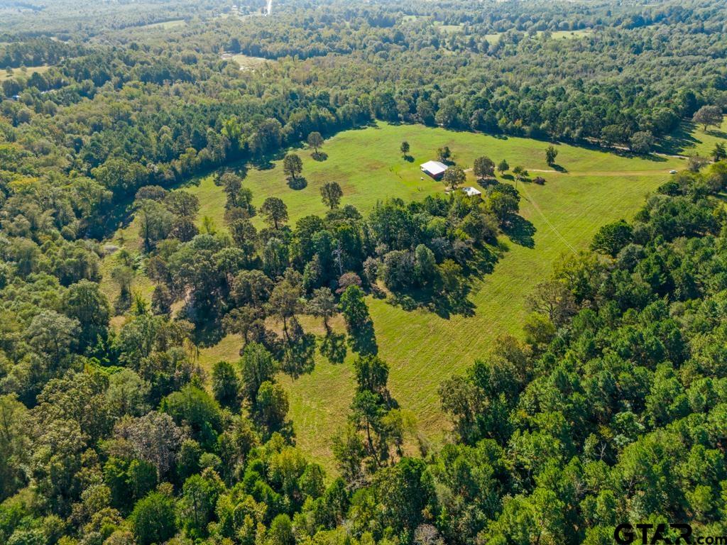 3400 Pony Road Gilmer, TX 75644 - Photo 30 of 46 an aerial view of a residential houses with outdoor space and trees all around