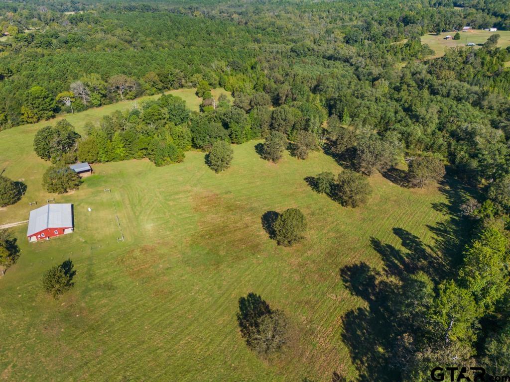 3400 Pony Road Gilmer, TX 75644 - Photo 31 of 46