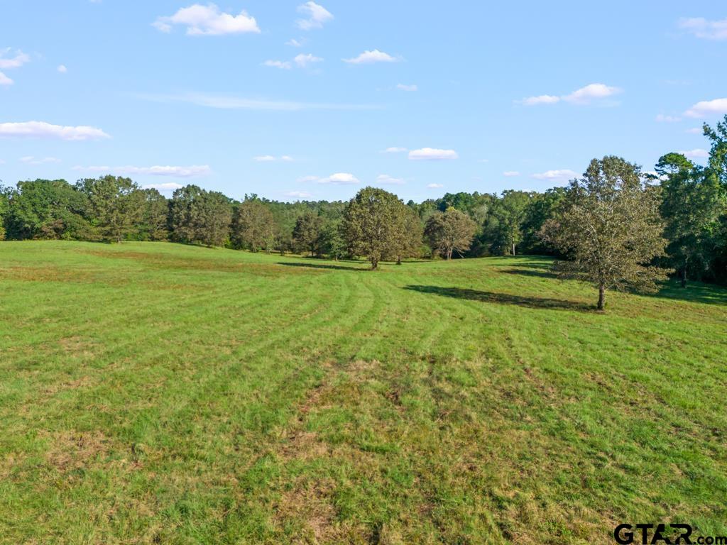3400 Pony Road Gilmer, TX 75644 - Photo 34 of 46 a view of field with tall trees