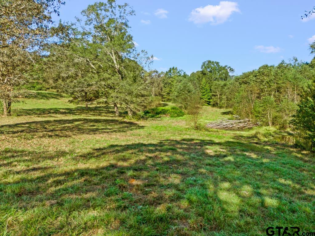 3400 Pony Road Gilmer, TX 75644 - Photo 36 of 46 a view of a big yard with plants and large trees